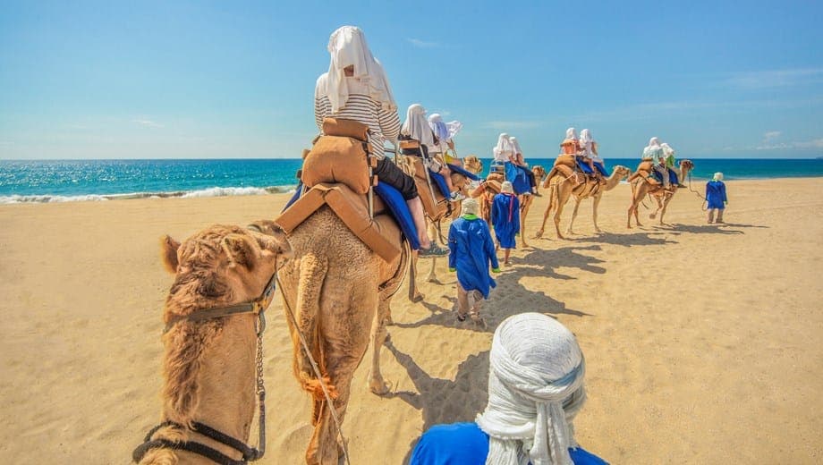 Combo Off Road and Camel — Family