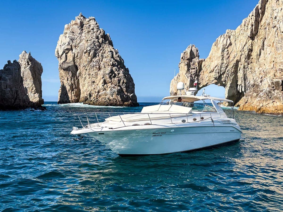 YACHT SEA RAY 45 FT