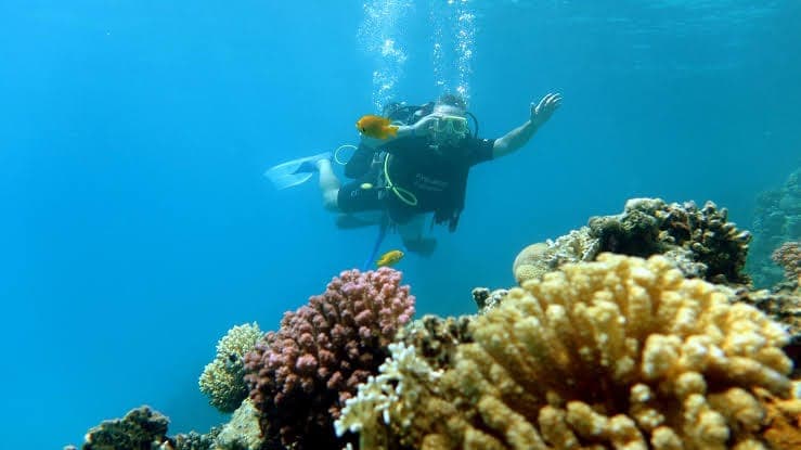 Certified Scuba 2 Tanks